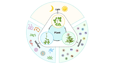 Laboratory of Plant and Environment Interaction Study