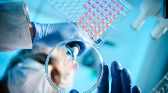 Life Sciences